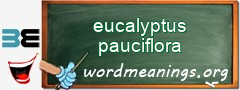 WordMeaning blackboard for eucalyptus pauciflora